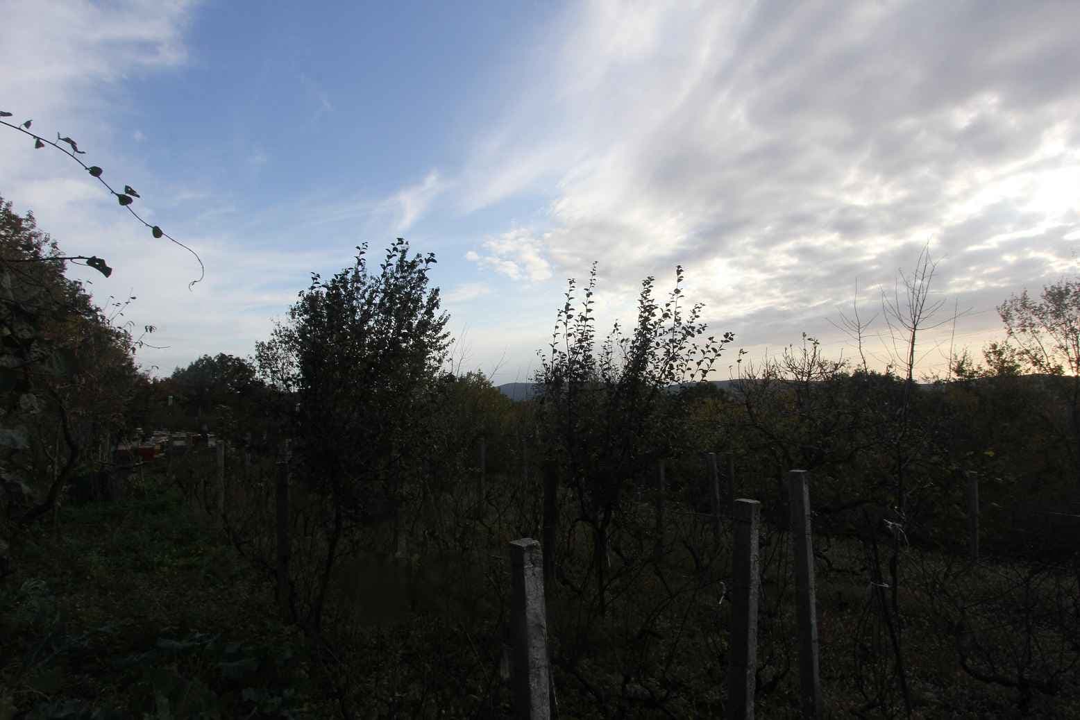Plot in Mokrine