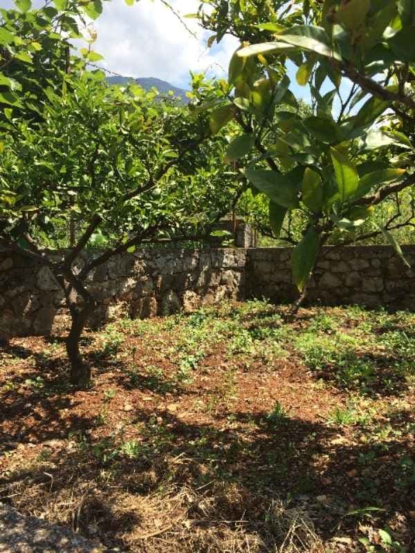Plot with small house in Dobre Vode