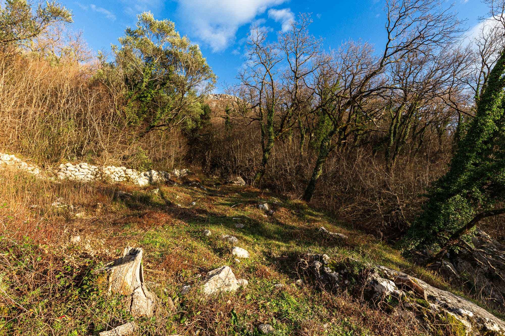 2170 m² Land in Kuljače