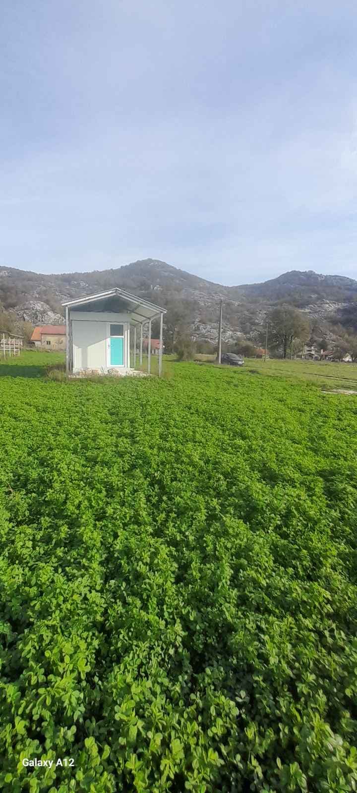 Plot for Sale in Grahovo